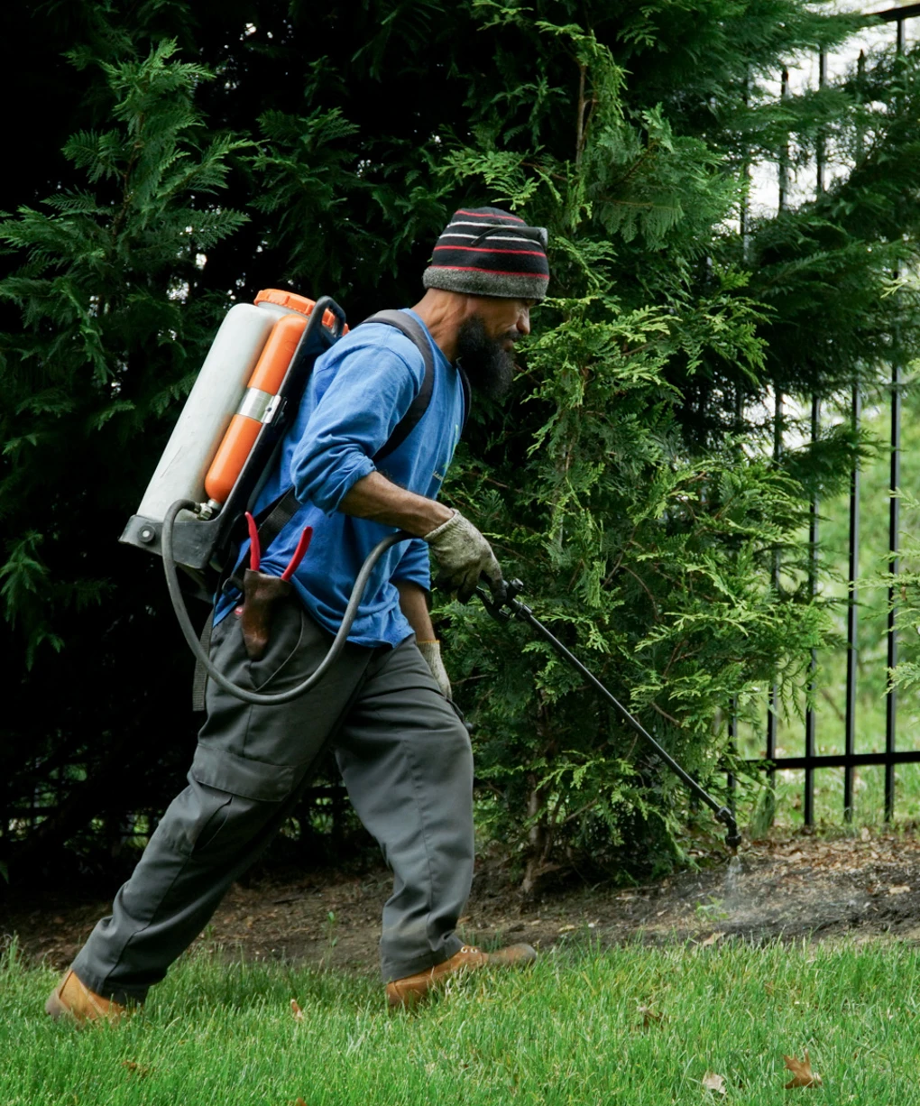 AE Landscaping worker spraying for pests in a garden