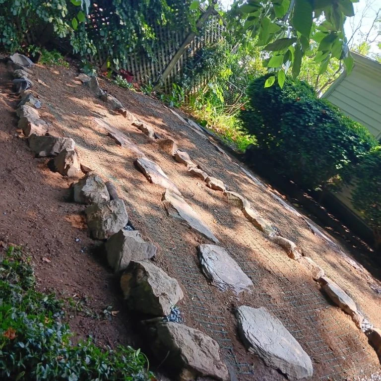 Rows of rocks installed in the backyard of a house