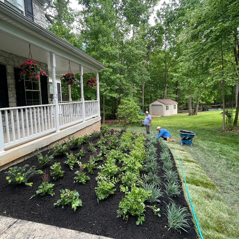 Custom designed garden outside of house
